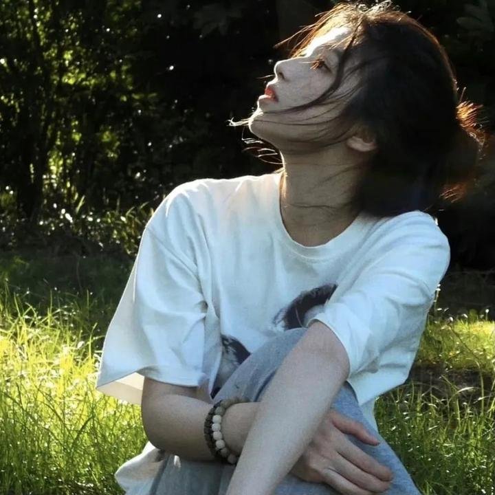 方案