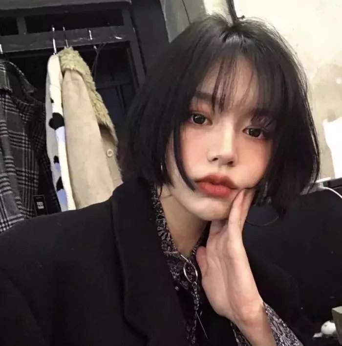 夏绿蒂的网